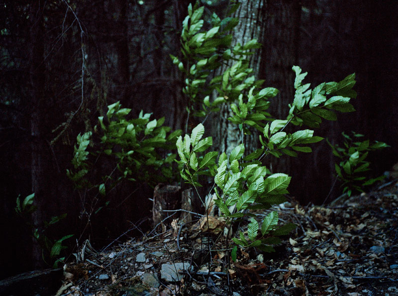 044_©Grégoire Edouard