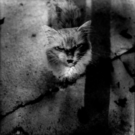 ArjaHyytiäinen-martan laulu-29