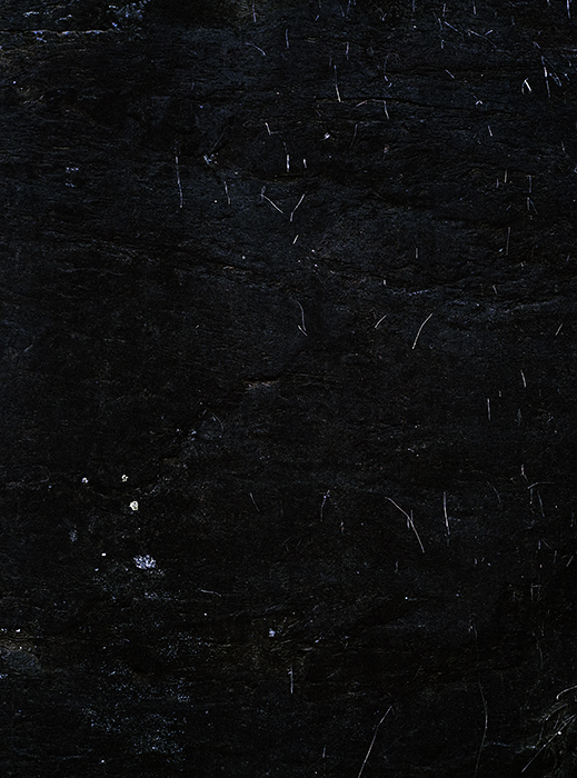 Edouard_Gregoire_Bruissement_07