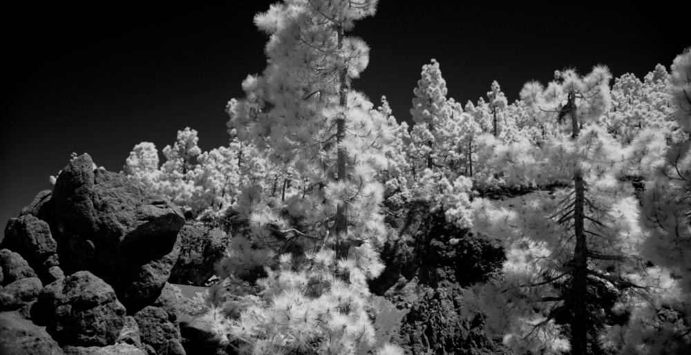 Hugo Deverchere_Cosmorama_ LeFresnoy_Studio national_2017 (1)