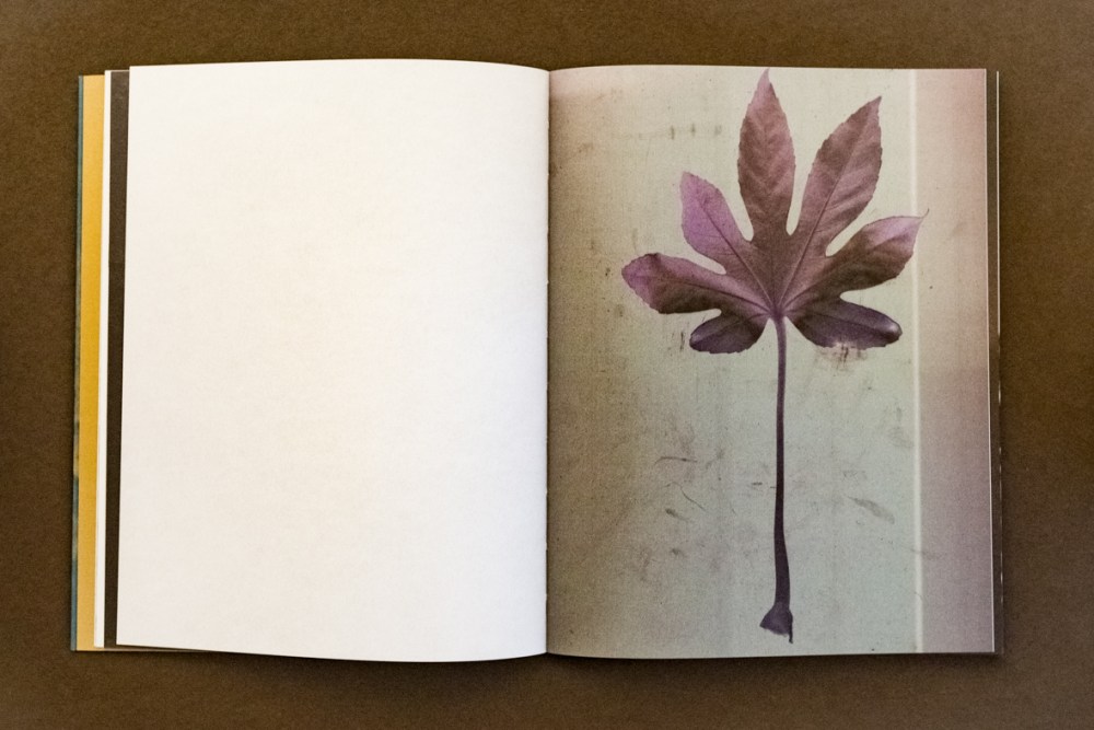 JeanFrancoisFlamey_051217_4336