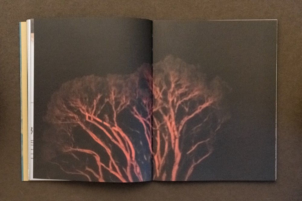 JeanFrancoisFlamey_051217_4351