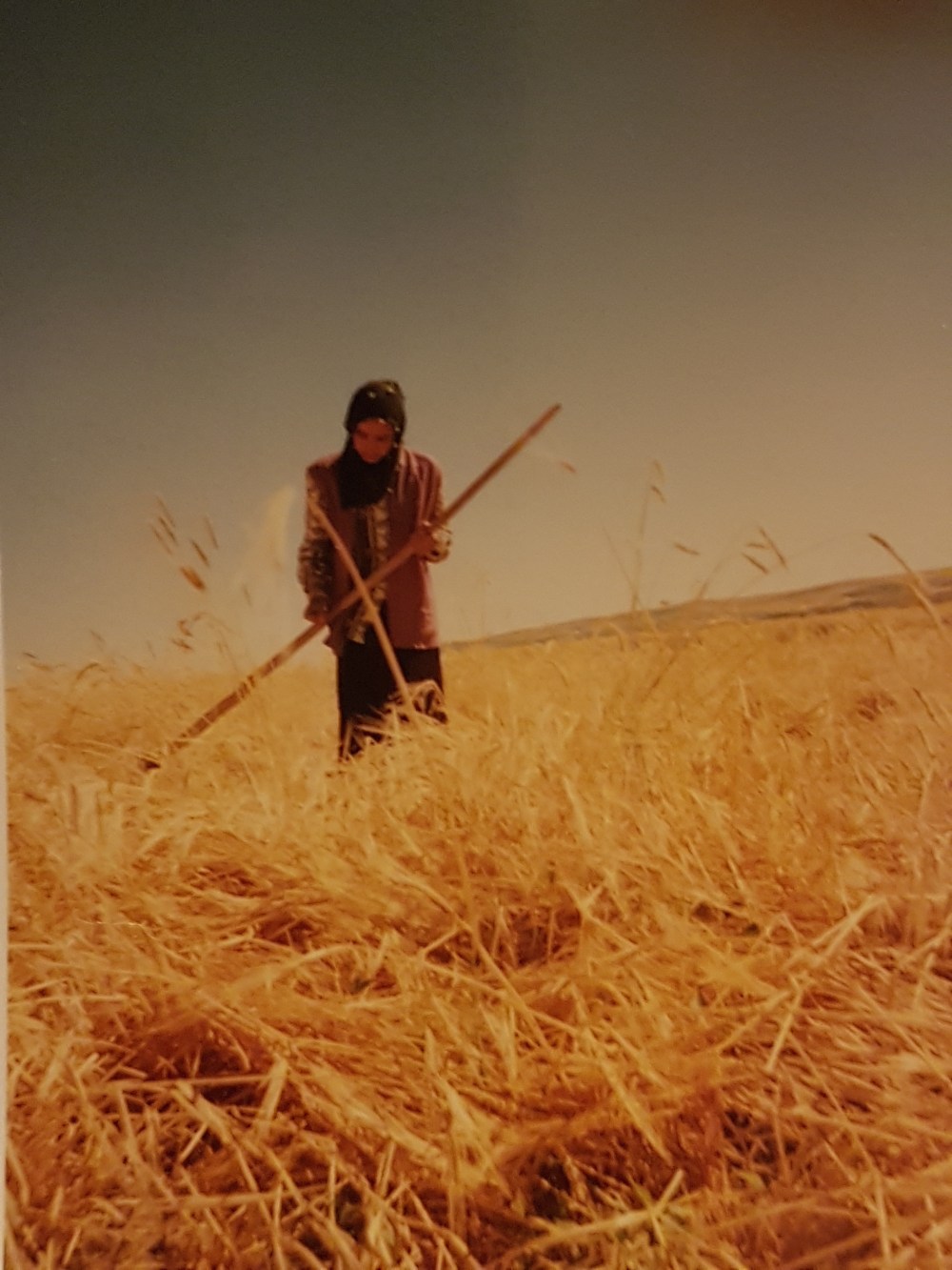 Munivver 20160429_213603_001