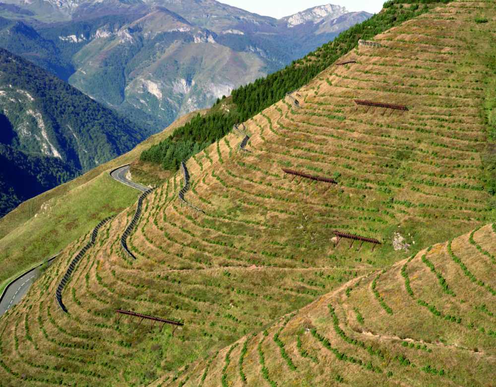 Orthe╠Çses_Dojo_2017_HD_Page_31_Image_0001