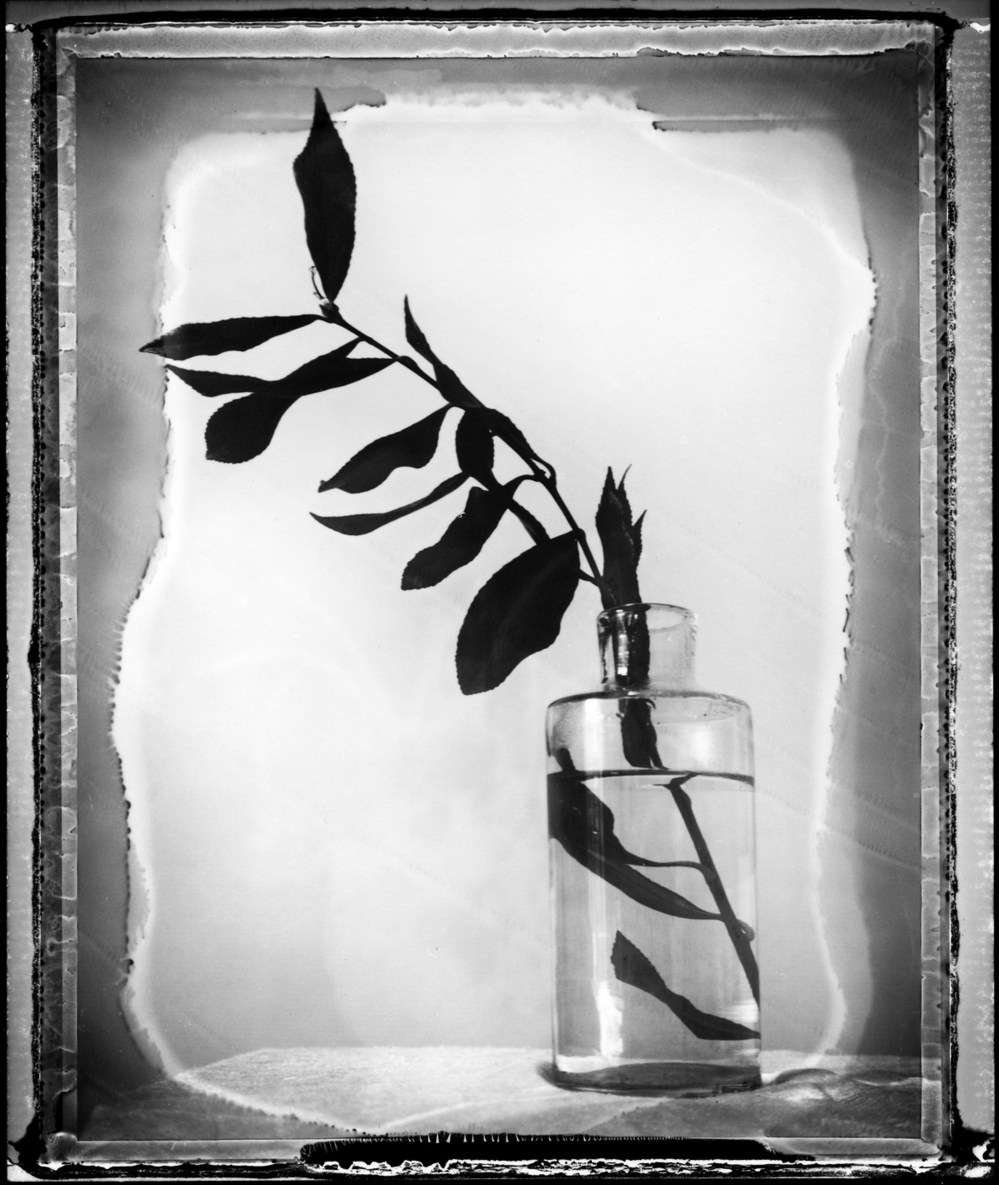 Pola 665 négatif / Mes nuits / © Gil Rigoulet