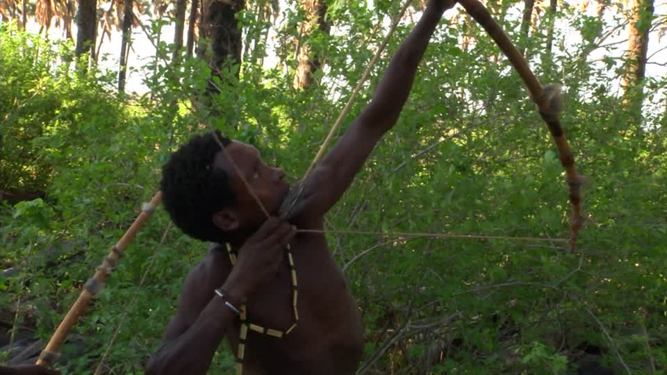 628619005-arme-traditionnelle-lac-eyasi-hadzas-fleche-et-arc