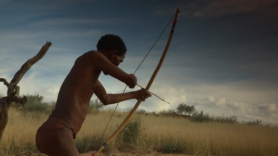 824920963-bushmanland-afrique-du-sud-tir-a-l'arc-arc-arme-chasseur-etre-humain