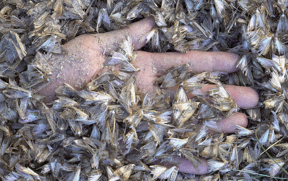 champ des visions_extraits_