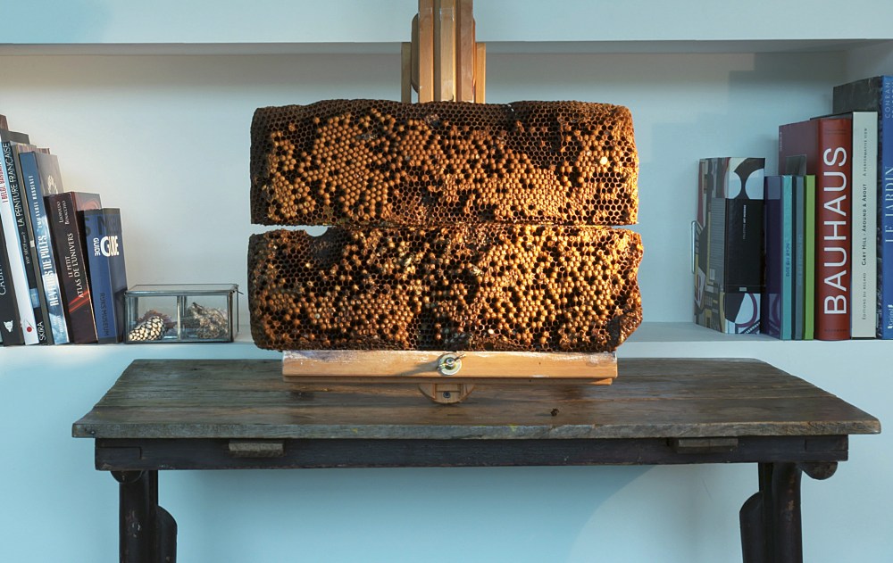 champ des visions_extraits_8