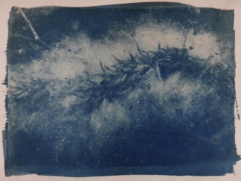 ┬® Ire╠Çne de Groot