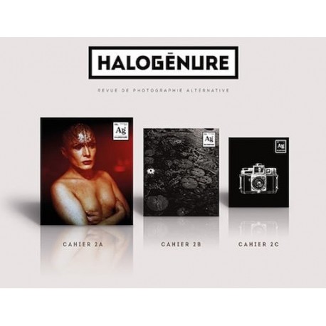 halogenure-no-02-printemps-2017