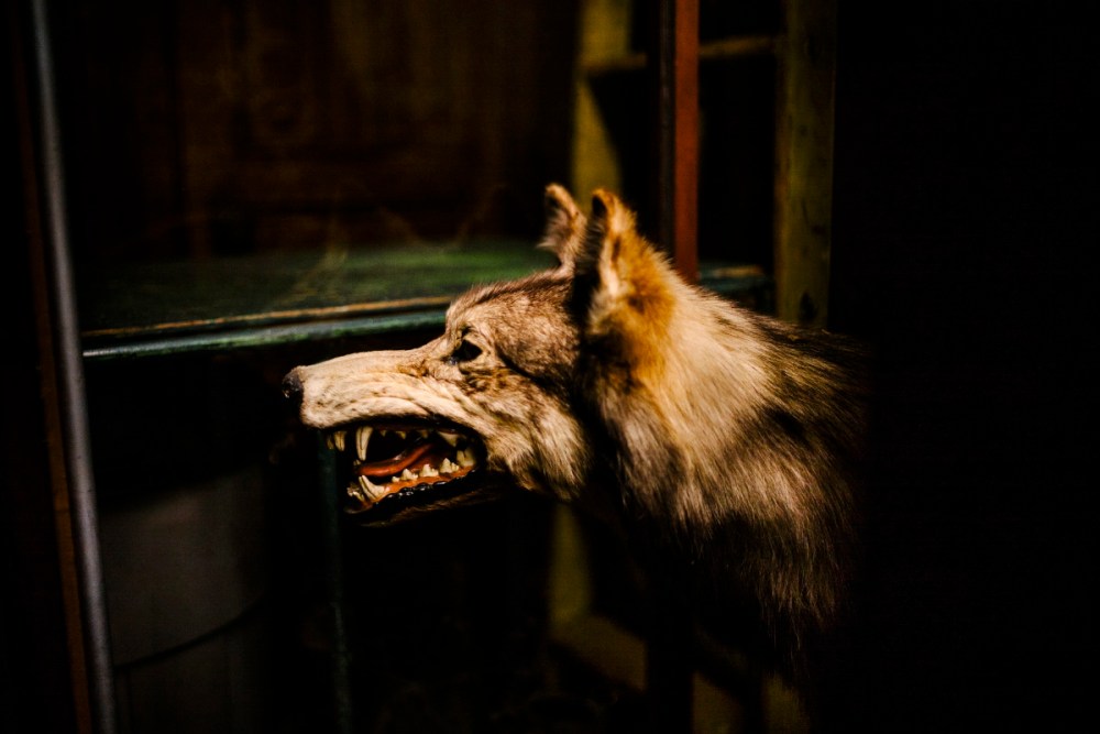 LavoueKingdom 60x90-15