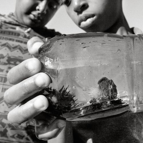 59649aea2b56e97375569a9db0277b3c