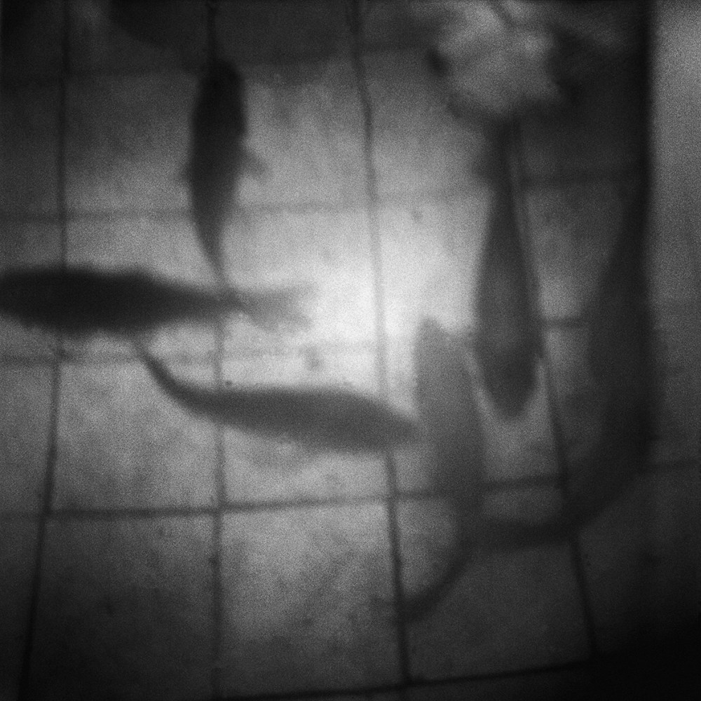 BOUDJELAL(Frantz Fanon)_039