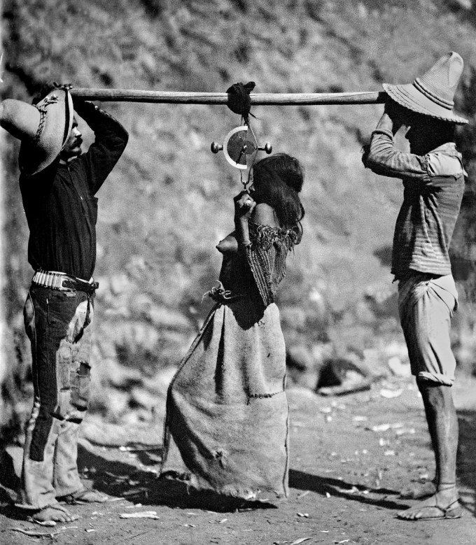 Carl Lumholtz: <i></dt><dd class=