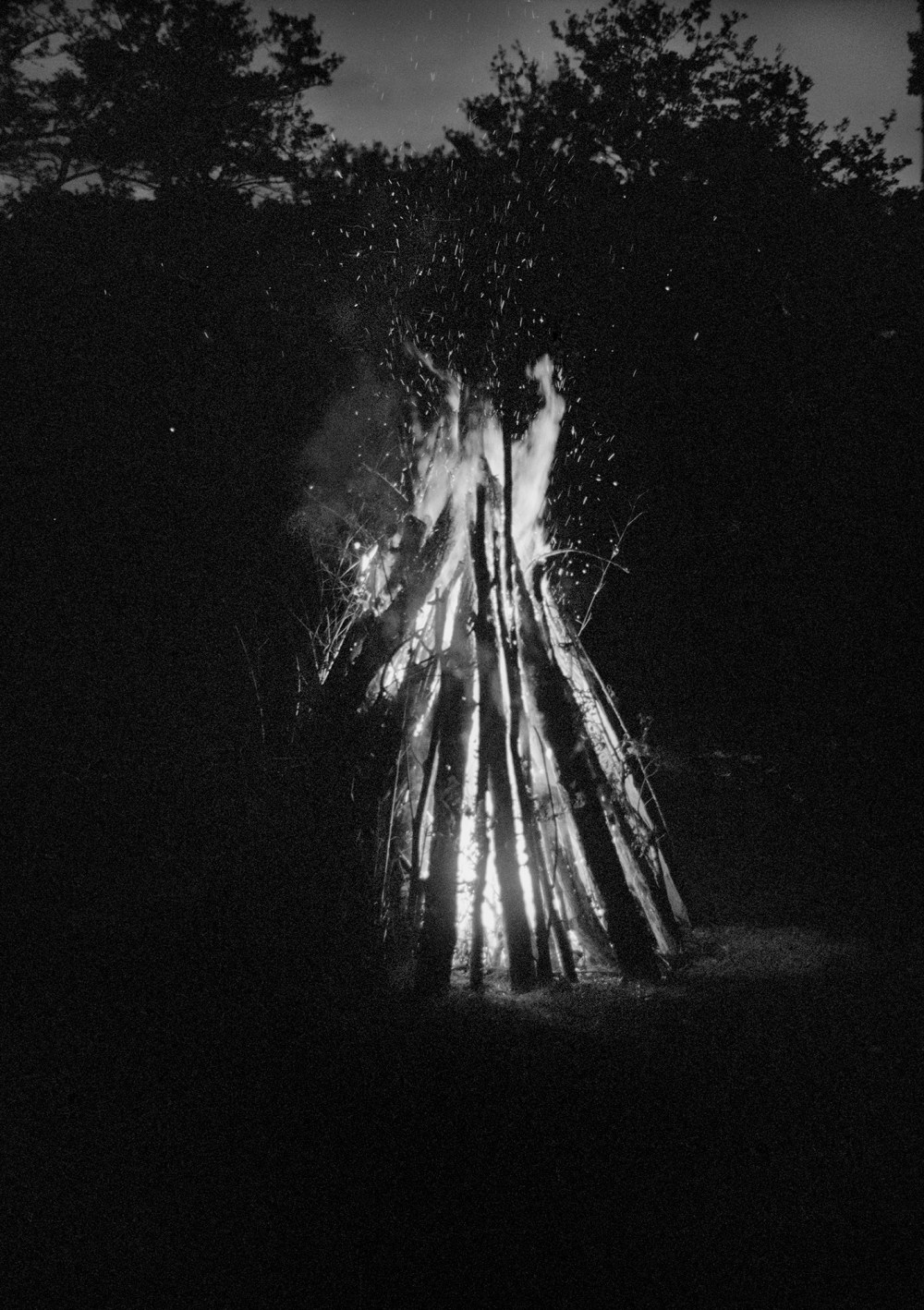 FEU-b essSCAN METAIRIE1