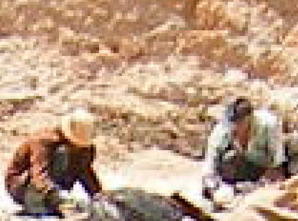 LV_VIS À VIS_FR_ES.01_Page_066