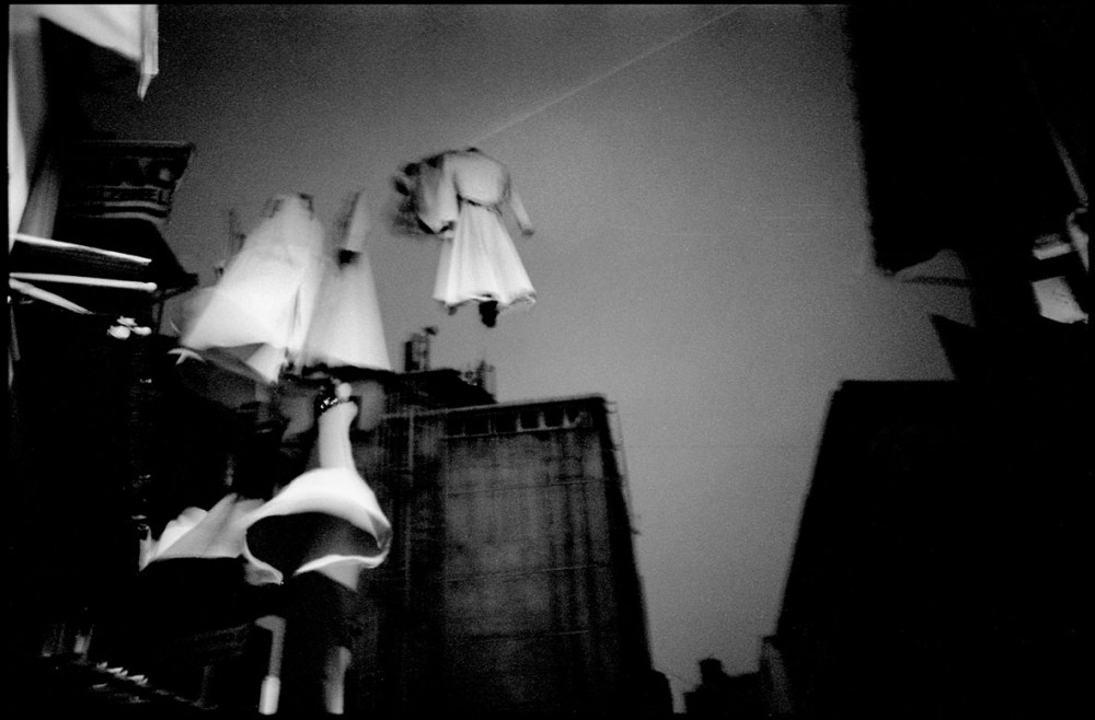 ┬® Damien Daufresne