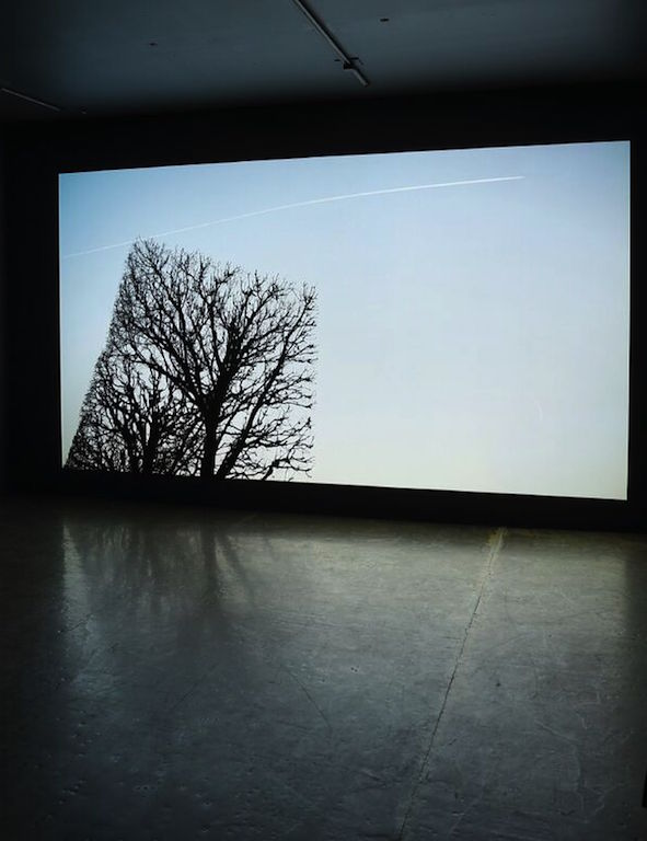 Geometrie_Jocelyne_Alloucherie_Expo_BandeVideo_PhotoBVno2_preview