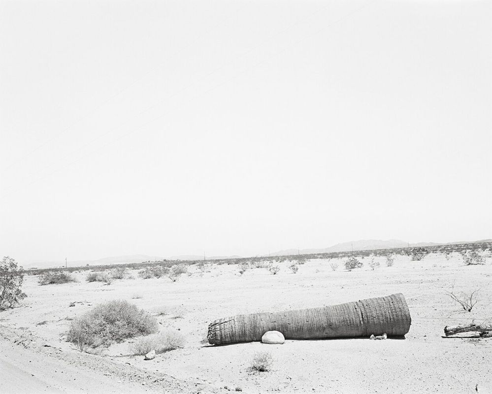 10-DL copy_preview (1)