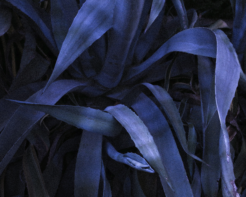 Azimut #M_Marine Lanier.2