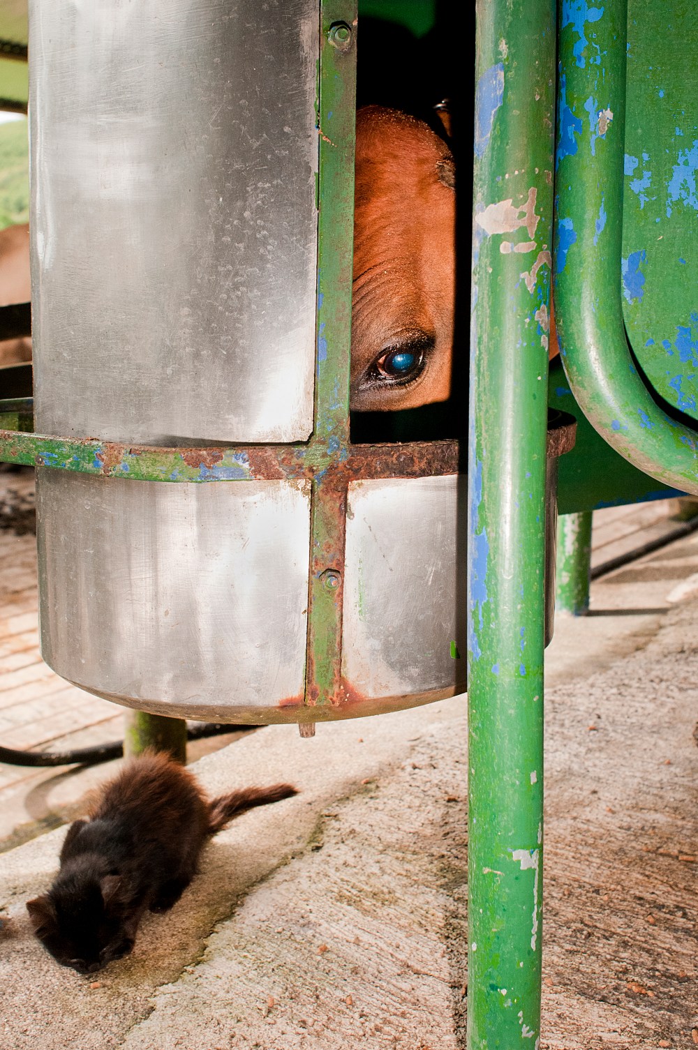 En Colombie, des colons biens