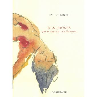 Des-proses-qui-manquent-d-elevation