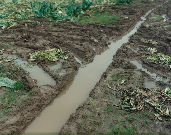 kate-barry-archive-special-project-4321