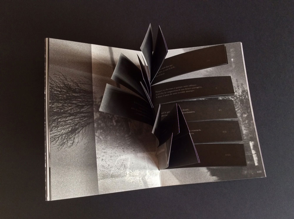 03-claire-jolin-fensch-poemes2-les-editions-orange-claire-collection-photos-mots