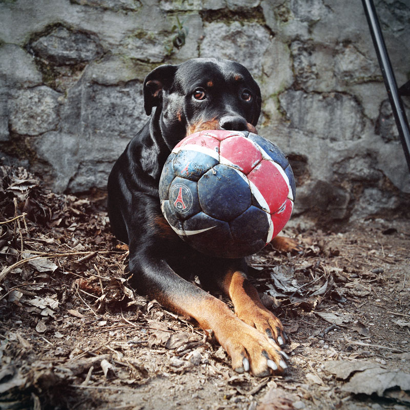 21 XX jeanluc dog okok