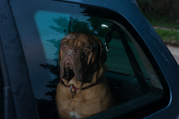 6a200b28-860c-43f7-8f97-51ed1554d2e6_rw_600