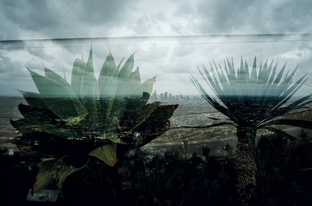 BOD_sequence-06_shaman-&amp;-angels_A