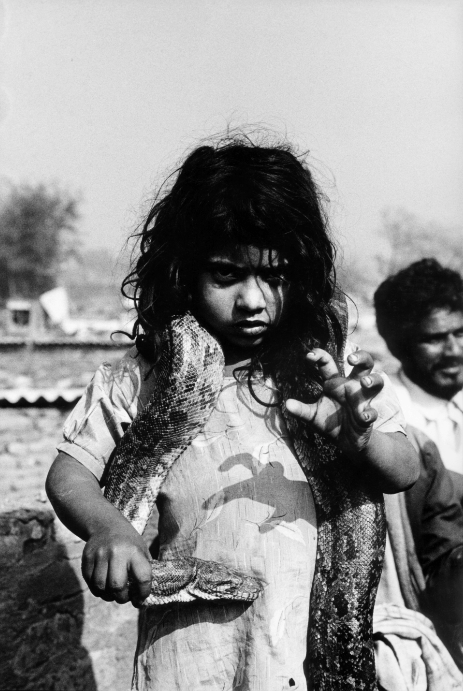 Capture d_écran 2018-04-25 à 04.28.12