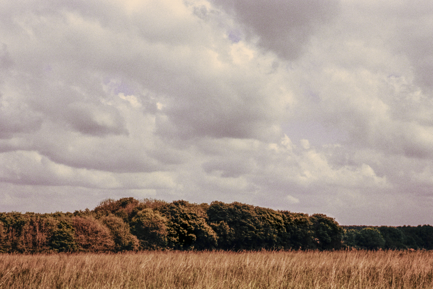 clara_chichin_le_dos_des_arbres14