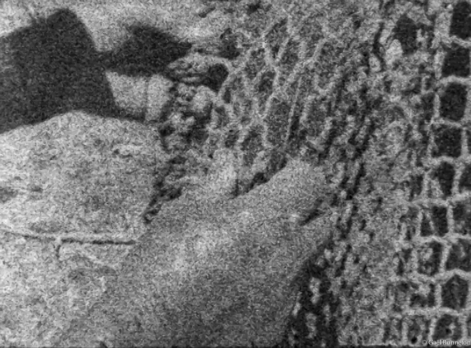 gael_bonnefon_not_a_word-13