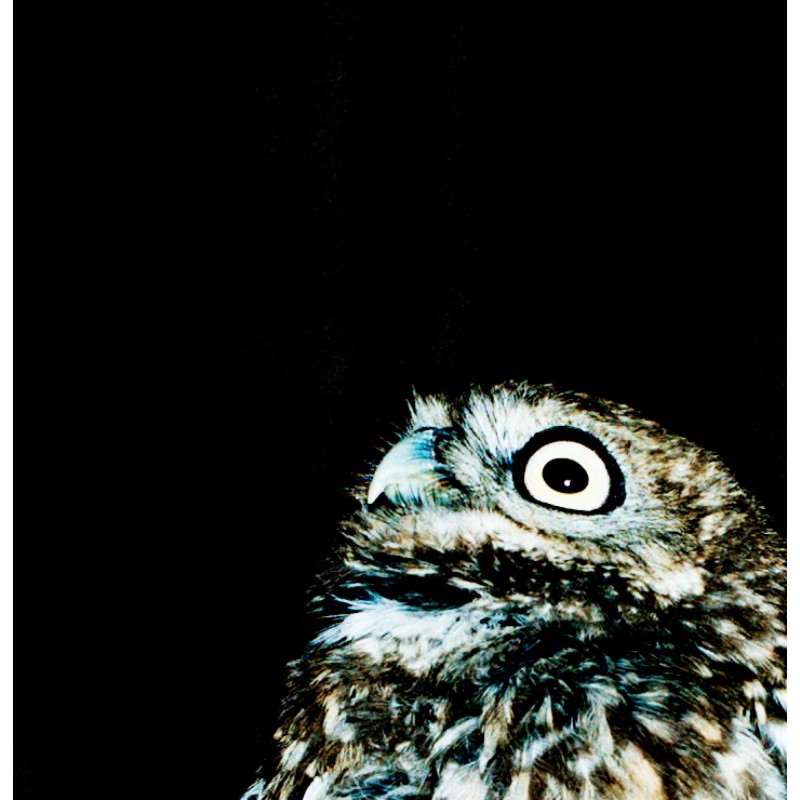 je-marcherai-sur-tes-traces-laure-pubert