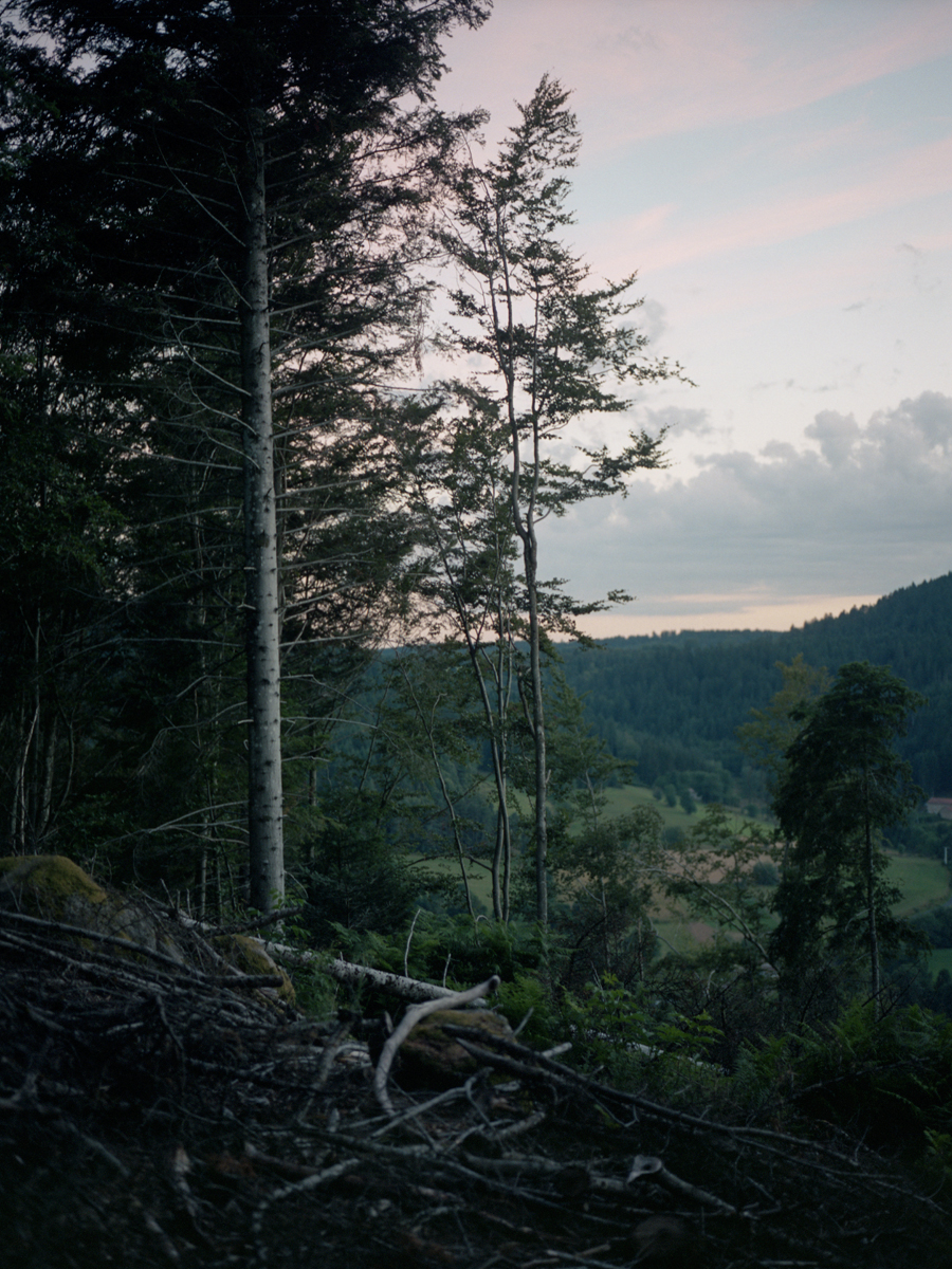 Géographies Jumelles