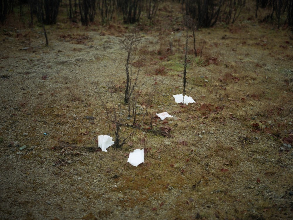 Géographies Jumelles