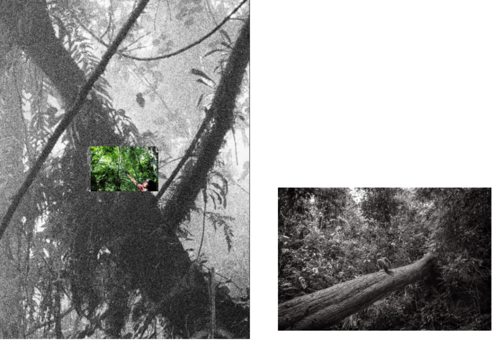 Capture d_écran 2018-07-25 à 09.46.47