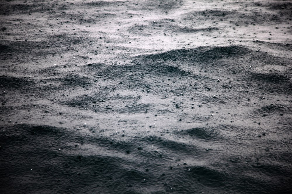 Desde_la_isla_cuantica_13