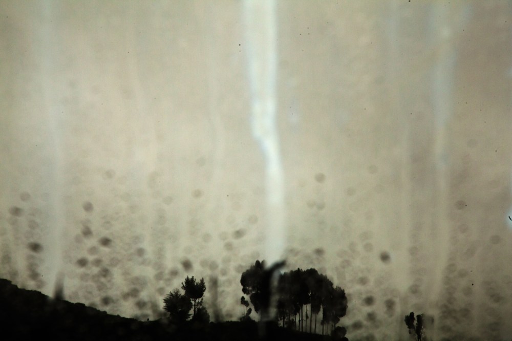 Desde_la_isla_cuantica_25