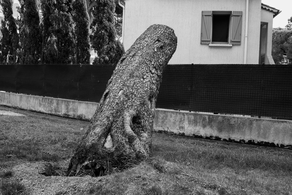 France. Hyères. 2014.