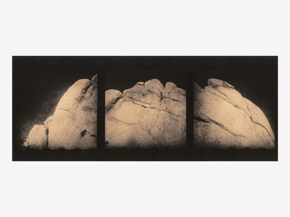 14-Zuili-Joshua-Tree-2016