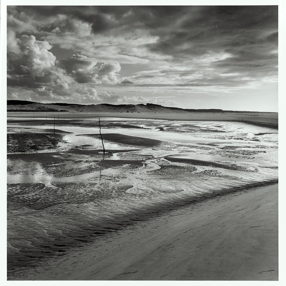 -Natures photo 4©JL Chapin.HD