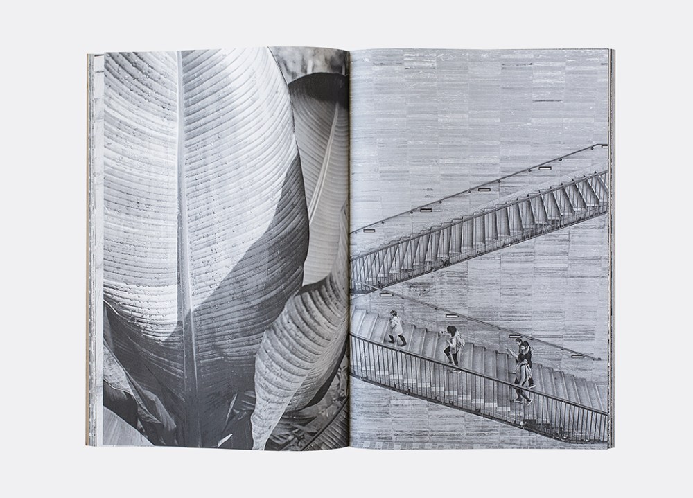 CPVQLC_sandrine_marc_19