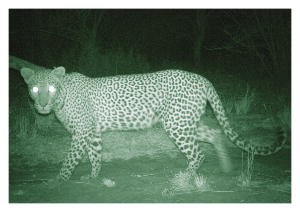 A__Trapped_full_1.5_alle_Bilder_100_korrekt_platziert_MM_fuer_We