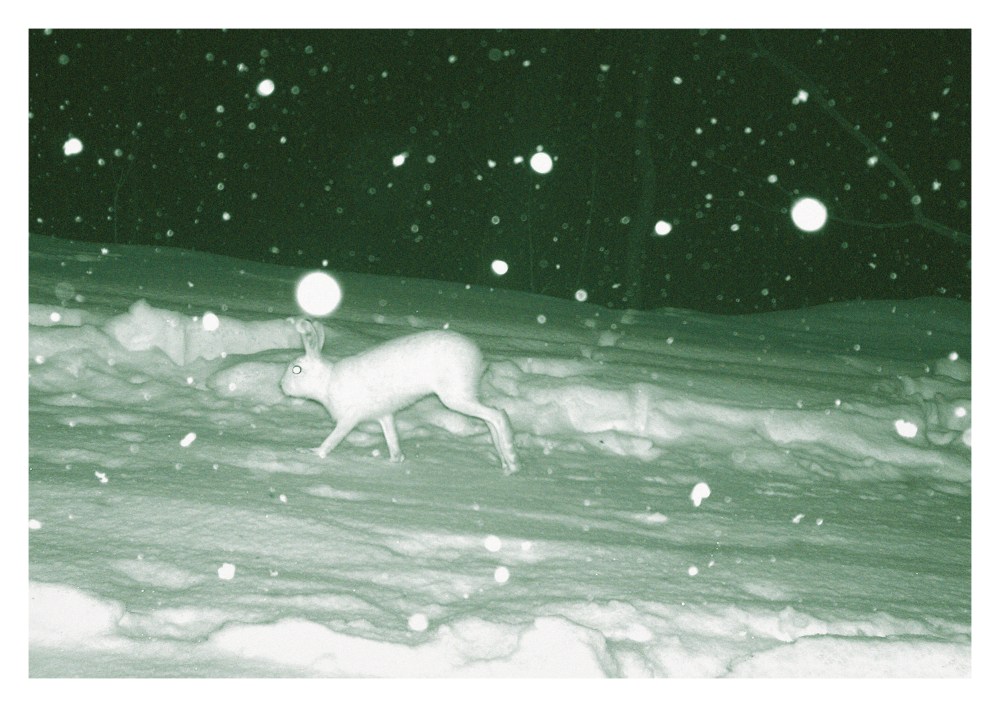 A__Trapped_full_1.5_alle_Bilder_100_korrekt_platziert_MM_fuer_We