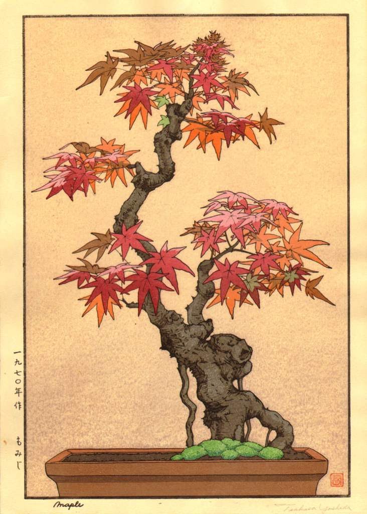 Yoshida_Tsu_Erable_ScanA3_Medium