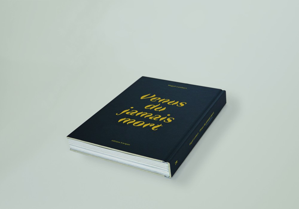 Couv 4e Magali Lambert