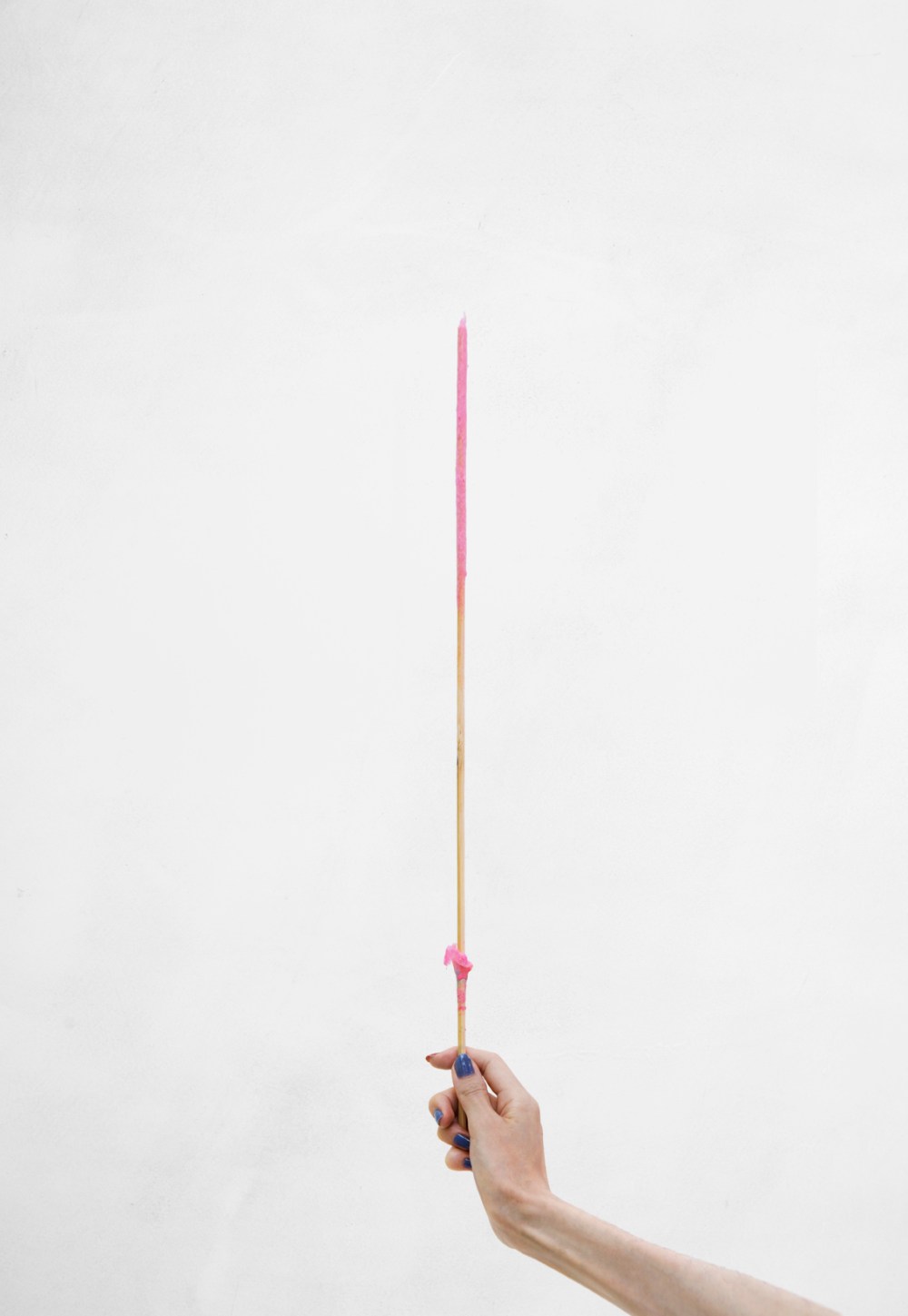 Image_01_Auteur_Katherine_Longly